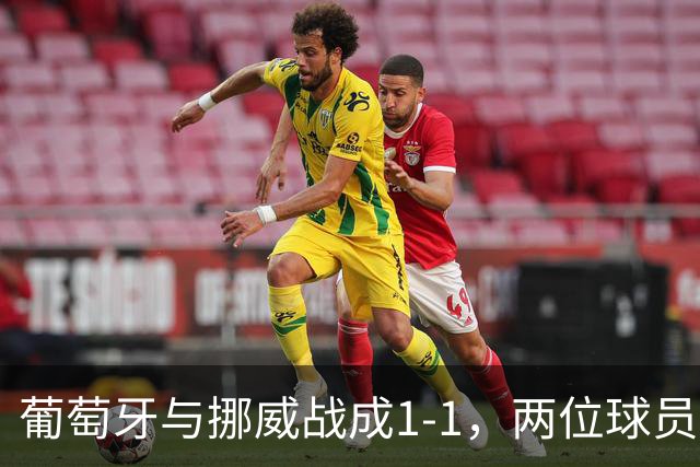 葡萄牙与挪威战成1-1，两位球员各献惊艳进球